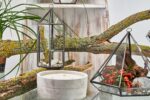 Glass Terrarium - Large Octagon - Image 4