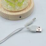 Floral Glow Garden Dome - 20 Sunflower - LED USB - Image 4