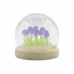 Floral Glow Garden Dome - 20 Tulips - LED USB - Image 6