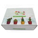 Cactus Candles - Animal Pot (asst) Display - Image 4