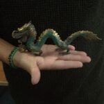 Fengshui - Small Dragon with Ball - 20cm - Image 2