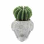 Cactus Candles - Animal Pot (asst) Display - Image 5