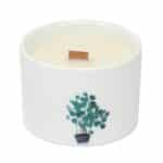 Med Botanical Candles - Mullberry Harvest - Image 2