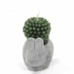 Cactus Candles - Animal Pot (asst) Display - Image 2