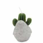 Cactus Candles - Animal Pot (asst) Display - Image 6