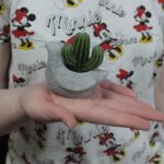 Cactus Candles - Animal Pot (asst) Display - Image 7