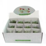 Cactus Candles - Animal Pot (asst) Display - Image 3