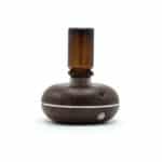 Mini Single Waterless Oil Nebulizer - USB to C - movement dectector