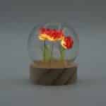 Floral Glow Garden Dome - 5 Red Roses - LED Battery - Image 3