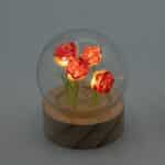 Floral Glow Garden Dome - 5 Red Roses - LED Battery - Image 5