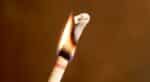 2x Scented Ear Candles - Lavender - Image 5