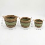 Cotton & Seagrass Large Baskets - Natural Black & Green- Set of 3 - Image 7
