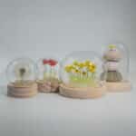 Floral Glow Garden Dome - 3 Sea Urchins - LED USB