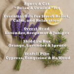 Agnes & Cat - Relax & Unwind Set Of 3 Essential Oil Blends - Image 4