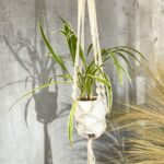 Macrame Pot Holder - Large Pot Holder - Extra Long - Image 7