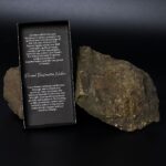 Essence of the Volcano Necklace - Personal Transformation - Image 6