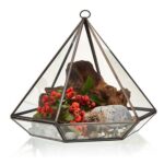 Glass Terrarium - Large Diamond - Image 3