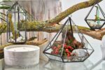 Glass Terrarium - Large Diamond - Image 4