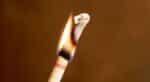 2x Scented Ear Candles - Lavender - Image 16