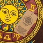 Nomad Sari Stonewashed Cotton T-Shirt - Sun & Zodiac - Brown - XL - Image 2