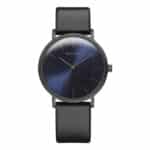 WATCH BERING UNISEX 13436-427 (36MM)