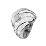 RING CRISTIAN LAY WOMAN 42587140 (14 )