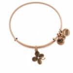 BRACELET ALEX AND ANI WOMEN A09EB143RG (19-25CM )