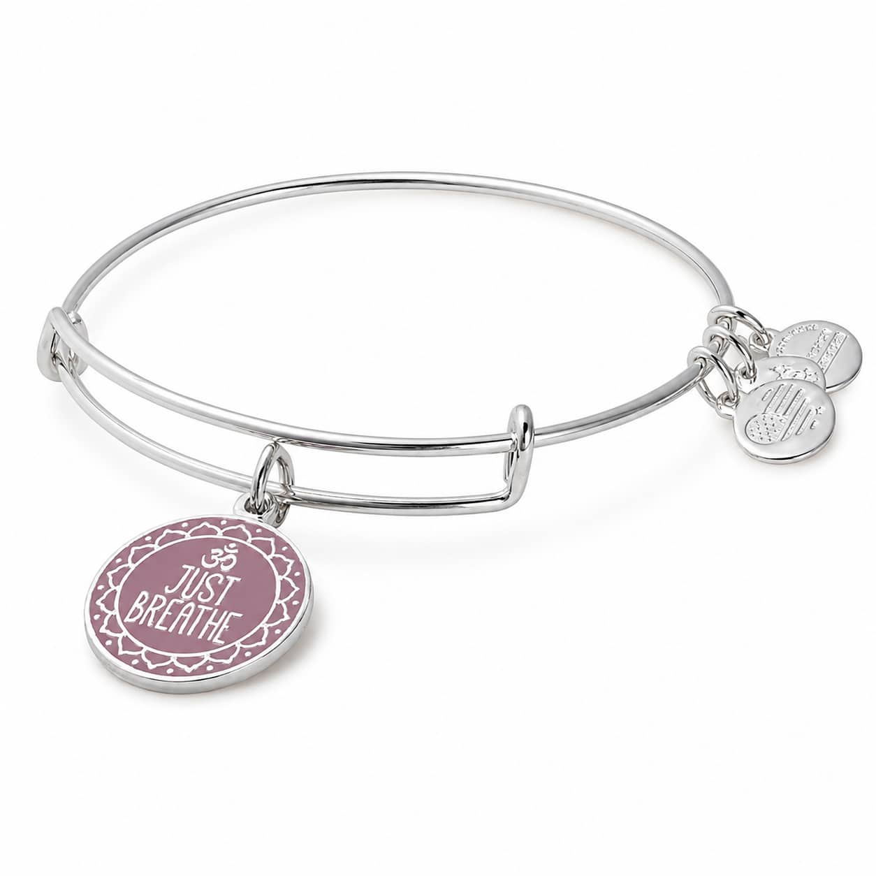 A17EBWAP05SS BRACELET ALEX AND ANI WOMEN A17EBWAP05SS (20CM ) - Image 1