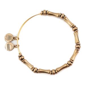 BRACELET ALEX AND ANI WOMEN BBEB110RG (20CM )