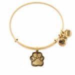 BRACELET ALEX AND ANI WOMEN CBD14POLRG (20CM )