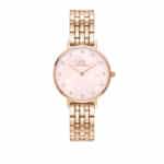 WATCH DANIEL WELLINGTON WOMEN DW00100617 (28MM)