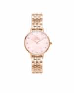 WATCH DANIEL WELLINGTON WOMEN DW00100617 (28MM)