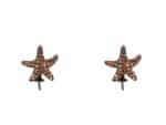 PENDING LANCASTER WOMAN JLA-EAR-STAR4 (1,2MM )