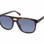 SUNGLASSES KENNETH COLE MAN KC2975-5452V (Lens/Bridge/Temple) 54/18/140 mm)