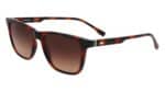 SUNGLASSES LACOSTE MAN L6041S-214 (Lens/Bridge/Temple) 54/18/145 mm)