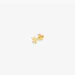 PIERCING RADIANT WOMEN RY000141 ( )