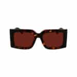 SUNGLASSES FERRAGAMO WOMEN SF2032S-242 (Lens/Bridge/Temple) 55/19/140 mm) - Image 2