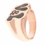 RING VICTORIO & LUCCHINO WOMAN VJ0270AN-13 (14 )