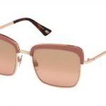 SUNGLASSES WEB EYEWEAR WOMAN WE0219-72Z (Lens/Bridge/Temple) 55/19/140 mm)