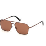 SUNGLASSES WEB EYEWEAR MAN WE0261-6036E (Lens/Bridge/Temple) 60/14/145 mm)