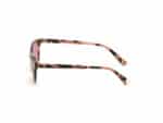 SUNGLASSES WEB EYEWEAR WOMAN WE0264-5555S (Lens/Bridge/Temple) 55/14/140 mm) - Image 2