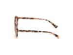 SUNGLASSES WEB EYEWEAR WOMAN WE0266-5155S (Lens/Bridge/Temple) 51/19/140 mm) - Image 2