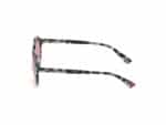 SUNGLASSES WEB EYEWEAR WOMAN WE0266-5155Y (Lens/Bridge/Temple) 51/19/140 mm) - Image 2