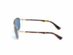 SUNGLASSES WEB EYEWEAR MAN WE0274-6032V (Lens/Bridge/Temple) 60/16/140 mm) - Image 2