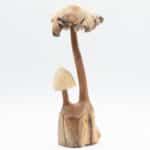 Handmade Parasite Wood Art Carving - Set of Two Mushoorms - Image 5