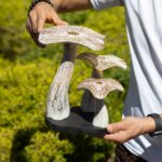 Medium Golden Mushroom Art - 25cm - Whitewash - Image 3
