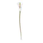 DECORATION SWAROVSKI UNISEX 5619229 (25CM )