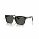 SUNGLASSES ARMANI EXCHANGE UNISEX AX4147S835773 (Lens/Bridge/Temple) 56/17/145 mm)