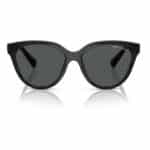 SUNGLASSES ARMANI EXCHANGE UNISEX AX4148SU83568 (Lens/Bridge/Temple) 56/17/145 mm) - Image 2