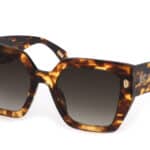 SUNGLASSES JUST CAVALLI WOMEN SJC021-530743 (Lens/Bridge/Temple) 53/15/140 mm)